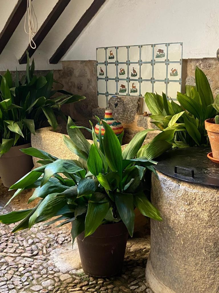 Hébergement de vacances Casa Cuqui Orgaz